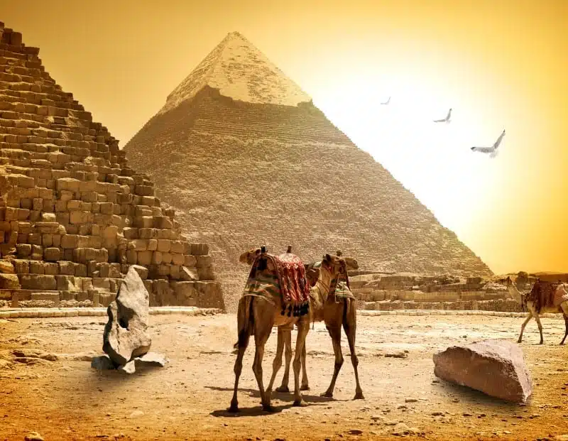 14 Places to See Before You Die Numbers 6 and 13 will surprise you 9 Cairo egypt camels and pyramids